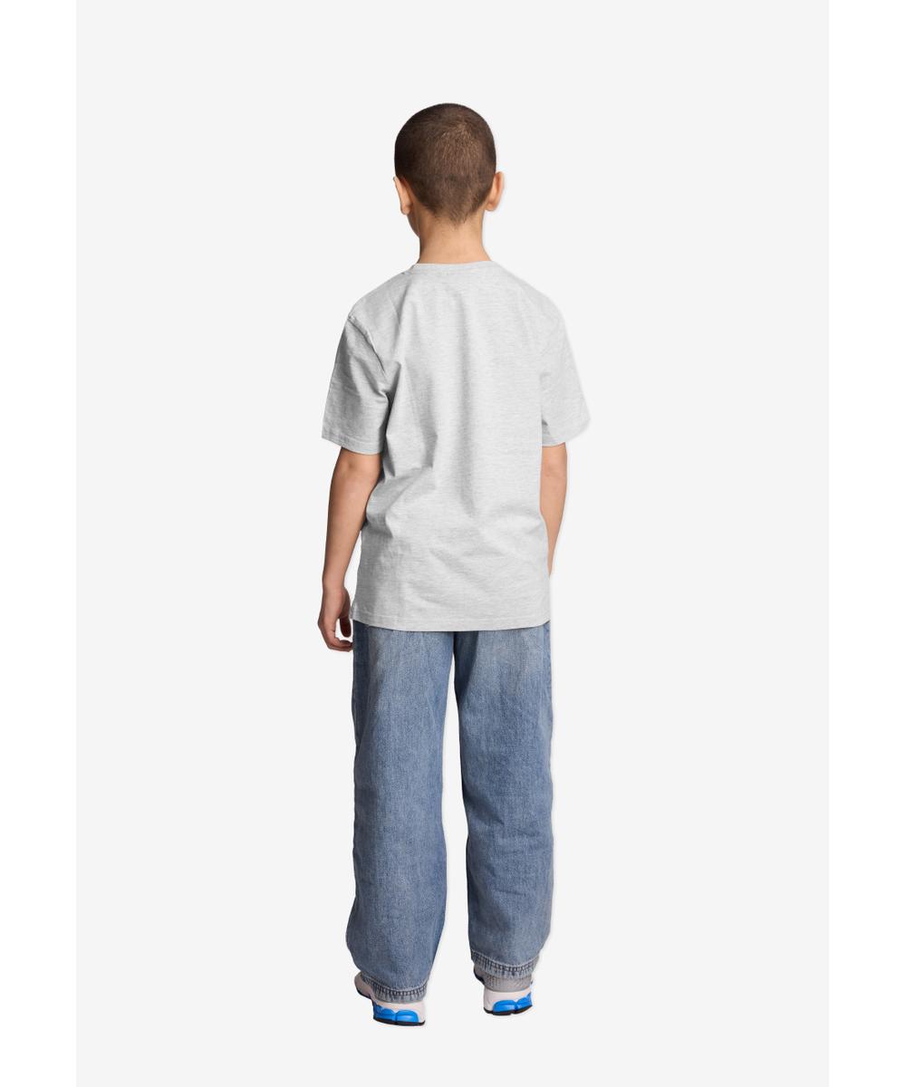 Łobuz t-shirt dziecięcy szary