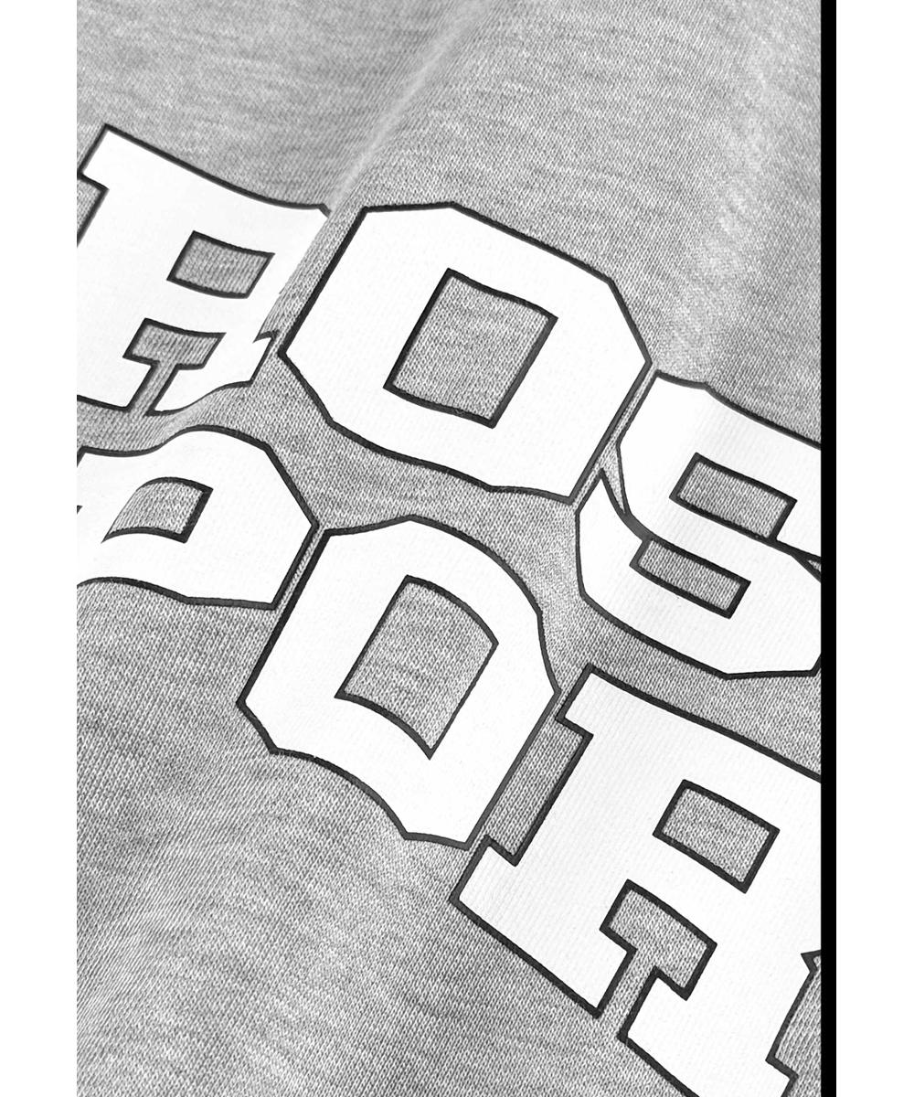 Harvard bluza z kapturem regular męska szara