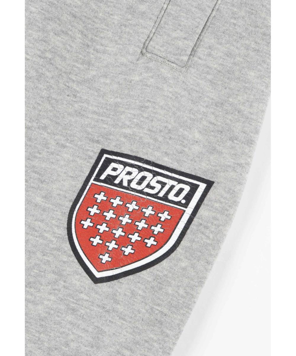 Infine spodnie dresowe szare