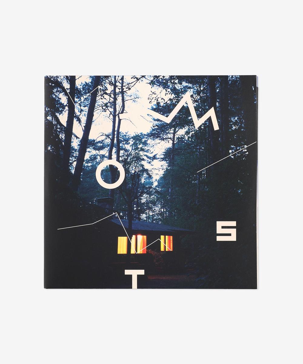 The Beginning (Winyl)