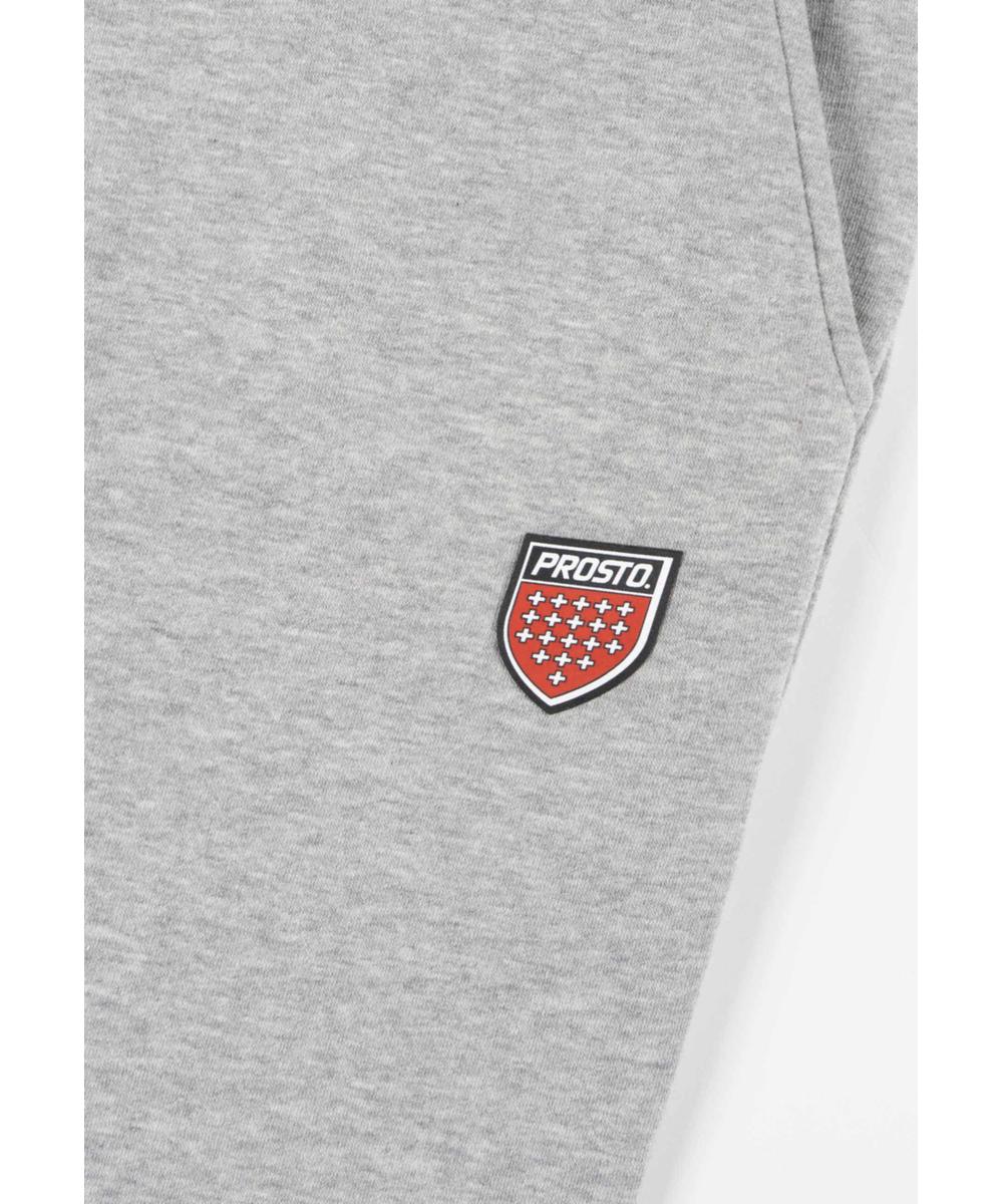 Shield spodnie dresowe szare