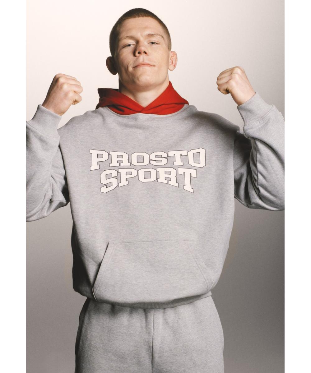 Harvard bluza z kapturem regular męska szara