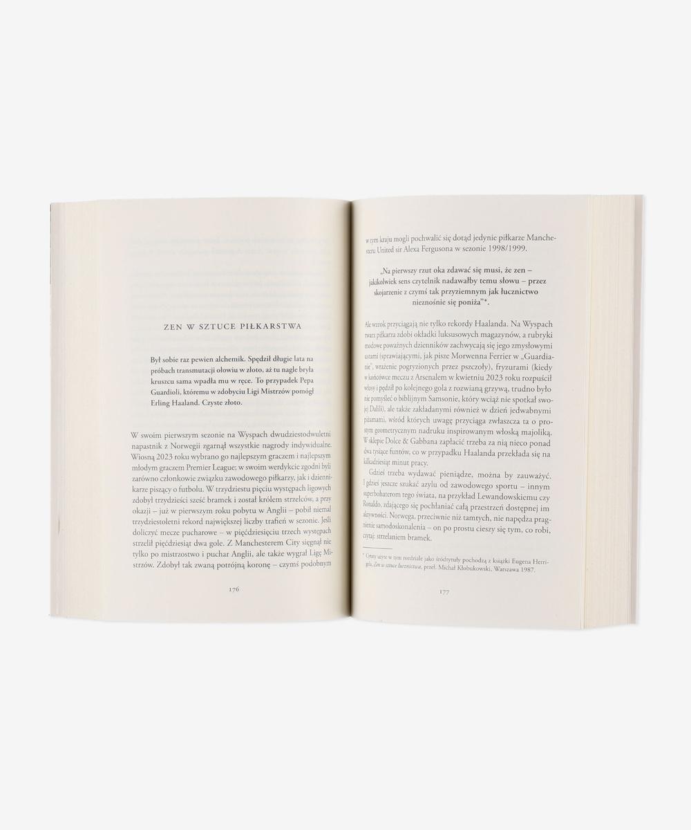 Stałe fragmenty. Piękny i wstrętny. Opowieść o dwóch...