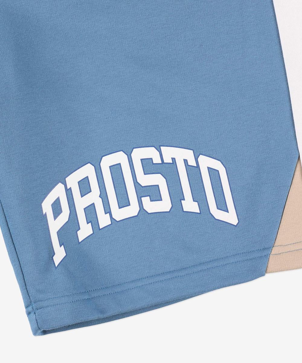 Skroozit szorty dresowe męskie niebieskie