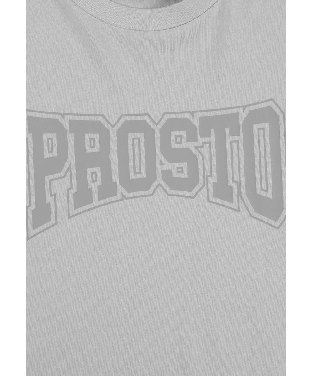 Collage t-shirt męski bawełniany szary