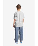 Łobuz t-shirt dziecięcy szary