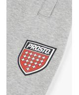 Infine spodnie dresowe szare