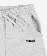 Baza spodnie dresowe dziecięce szare