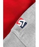 Harvard bluza z kapturem regular męska szara