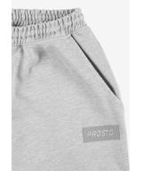 Box spodnie dresowe męskie szare