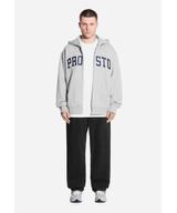 Axel bluza rozpinana z kapturem męska szara