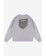 Shield bluza męska szara