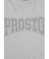 Collage t-shirt męski bawełniany szary