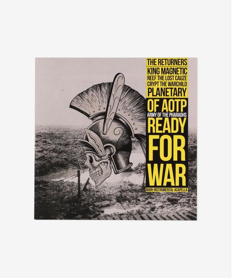 Ready for war / What's going on (Winyl)